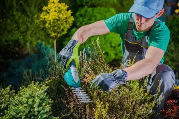 landscaping services Excelsior Springs